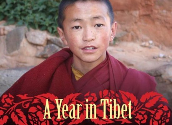 Image of a year in tibet