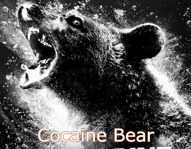 خرس کوکائینی