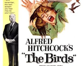 فیلم پرندگان The Birds 1963
