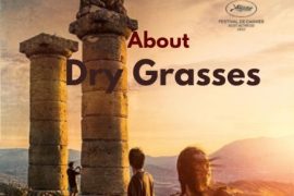 فیلم روی علف های خشک About Dry Grasses 2023