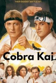 دانلود سریال کبرا کای Cobra Kai فصل 6 قسمت 5 اضافه شد.