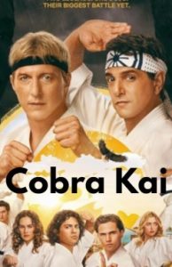 دانلود سریال کبرا کای Cobra Kai فصل 6 قسمت 5 اضافه شد.